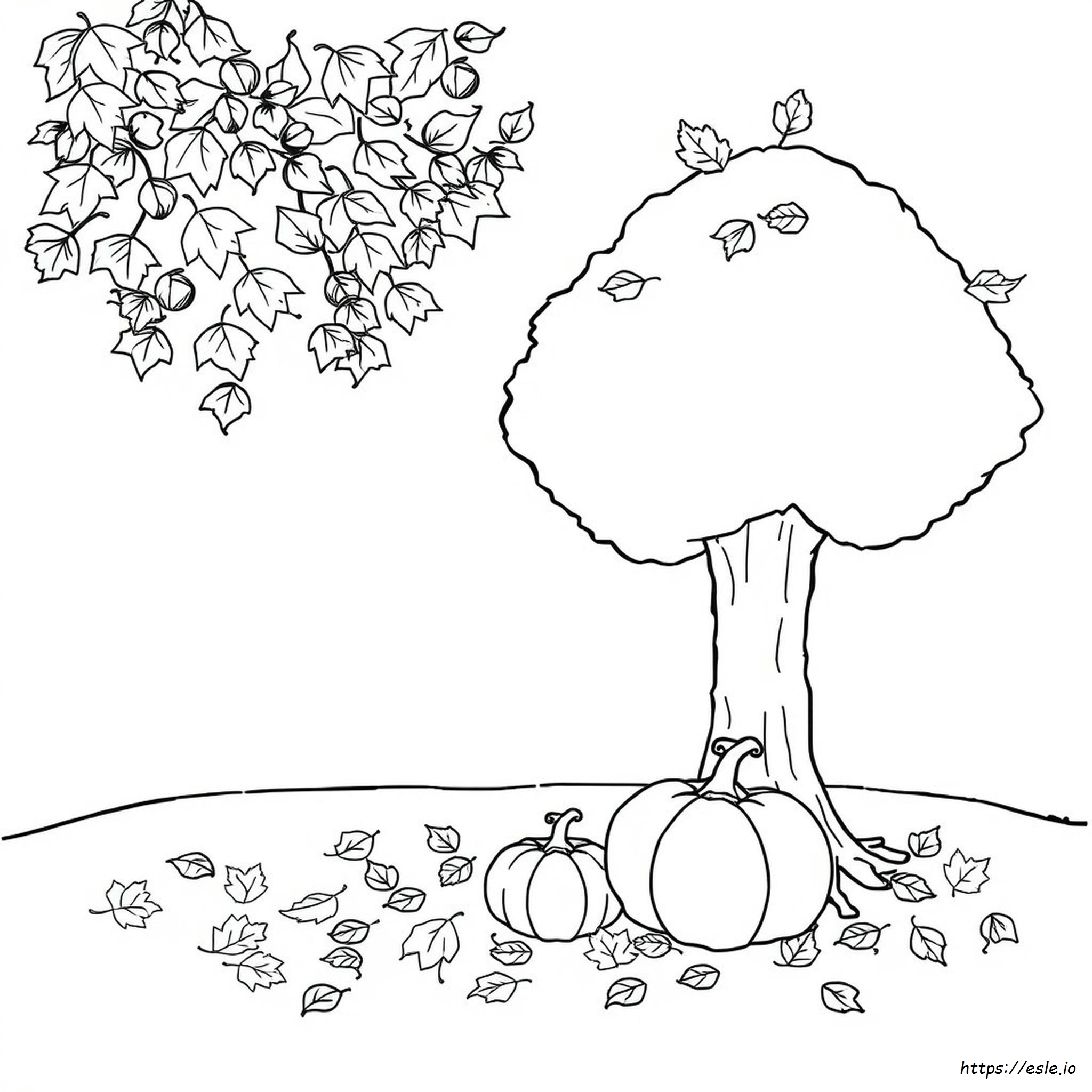 Analisi Dei Colori Della Stagione Autunnale