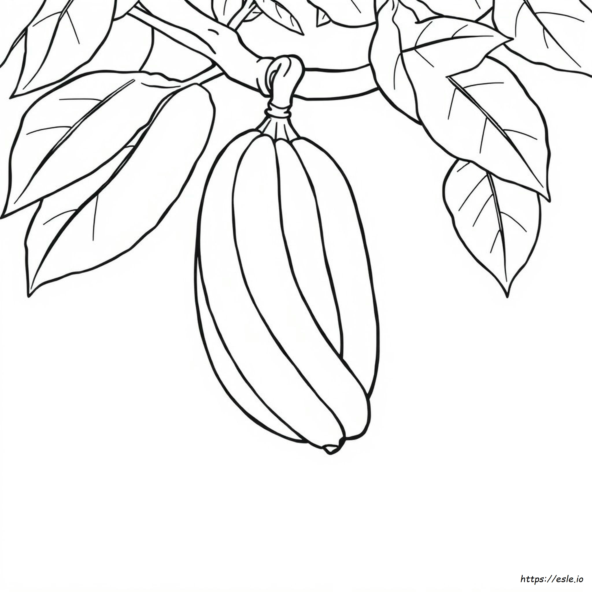Banana For Colouring