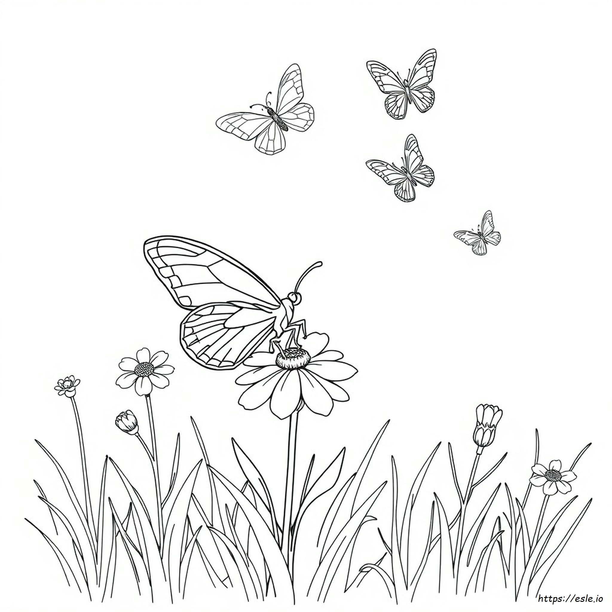 Einfache Schmetterling Ausmalbilder