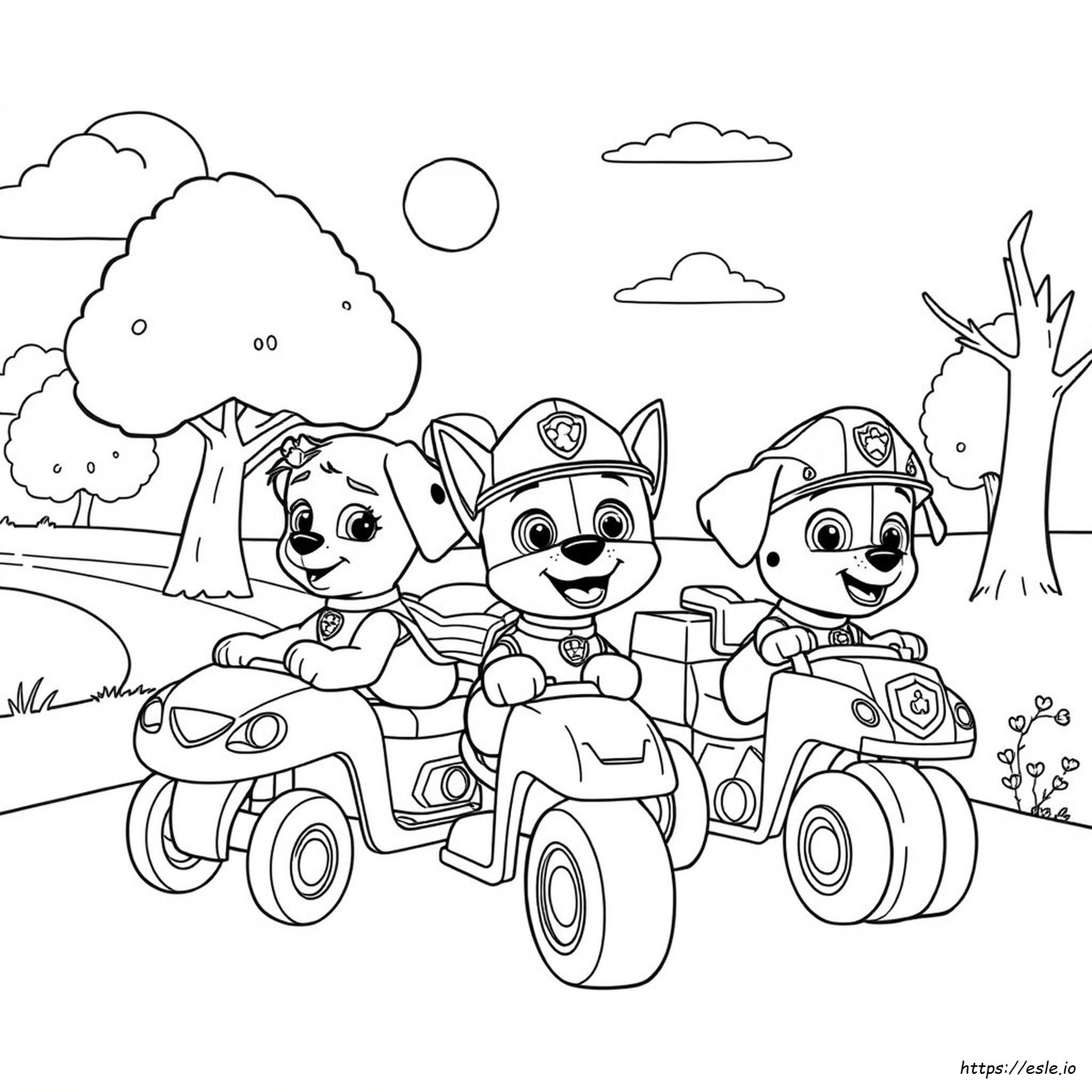 Paw Patrol Colouring In