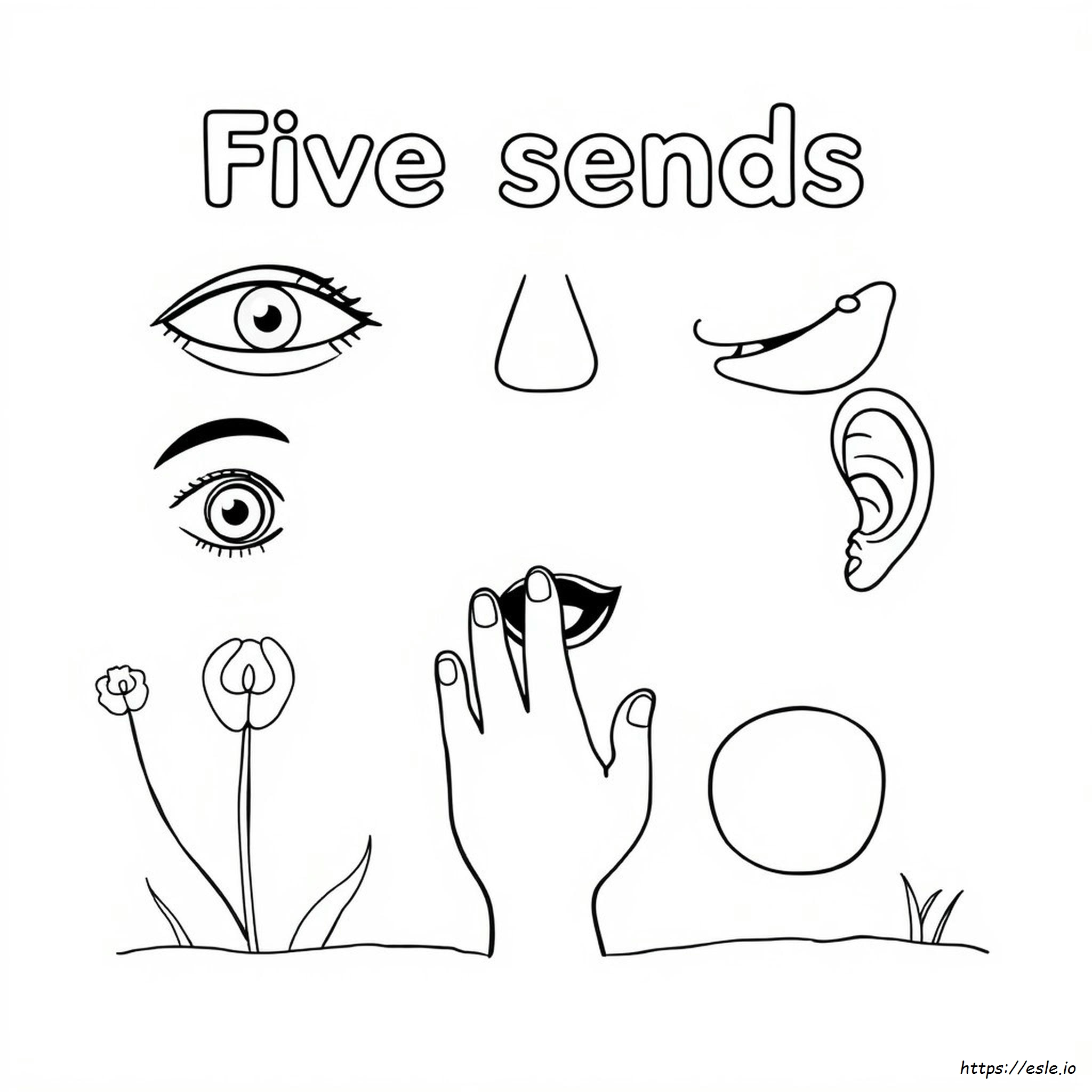 Free Printable Five Senses Coloring Pages For Preschool