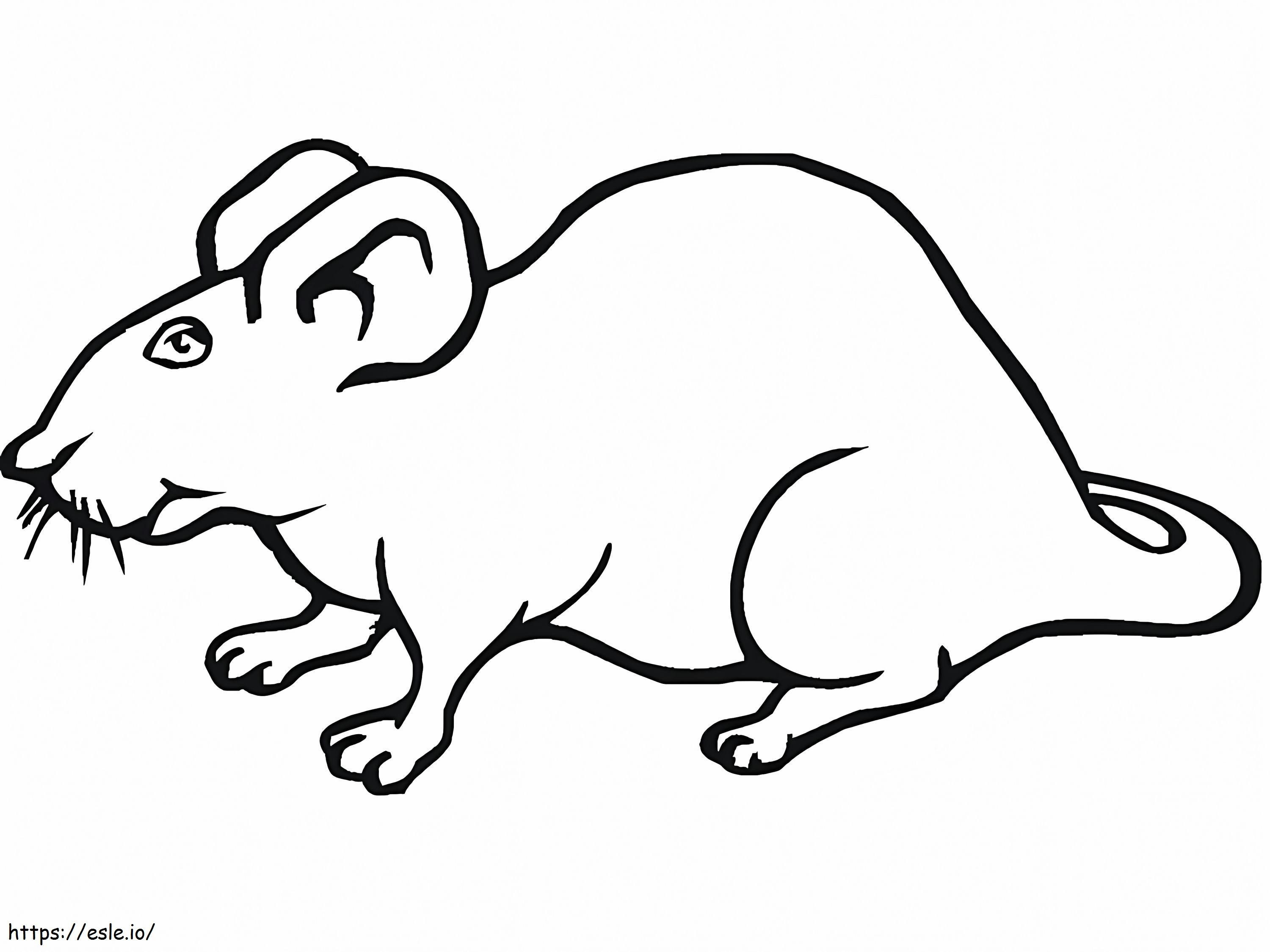 Rato imprimível para colorir
