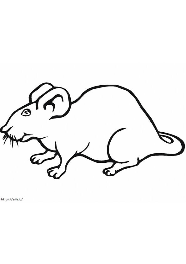 Printable Rat coloring page