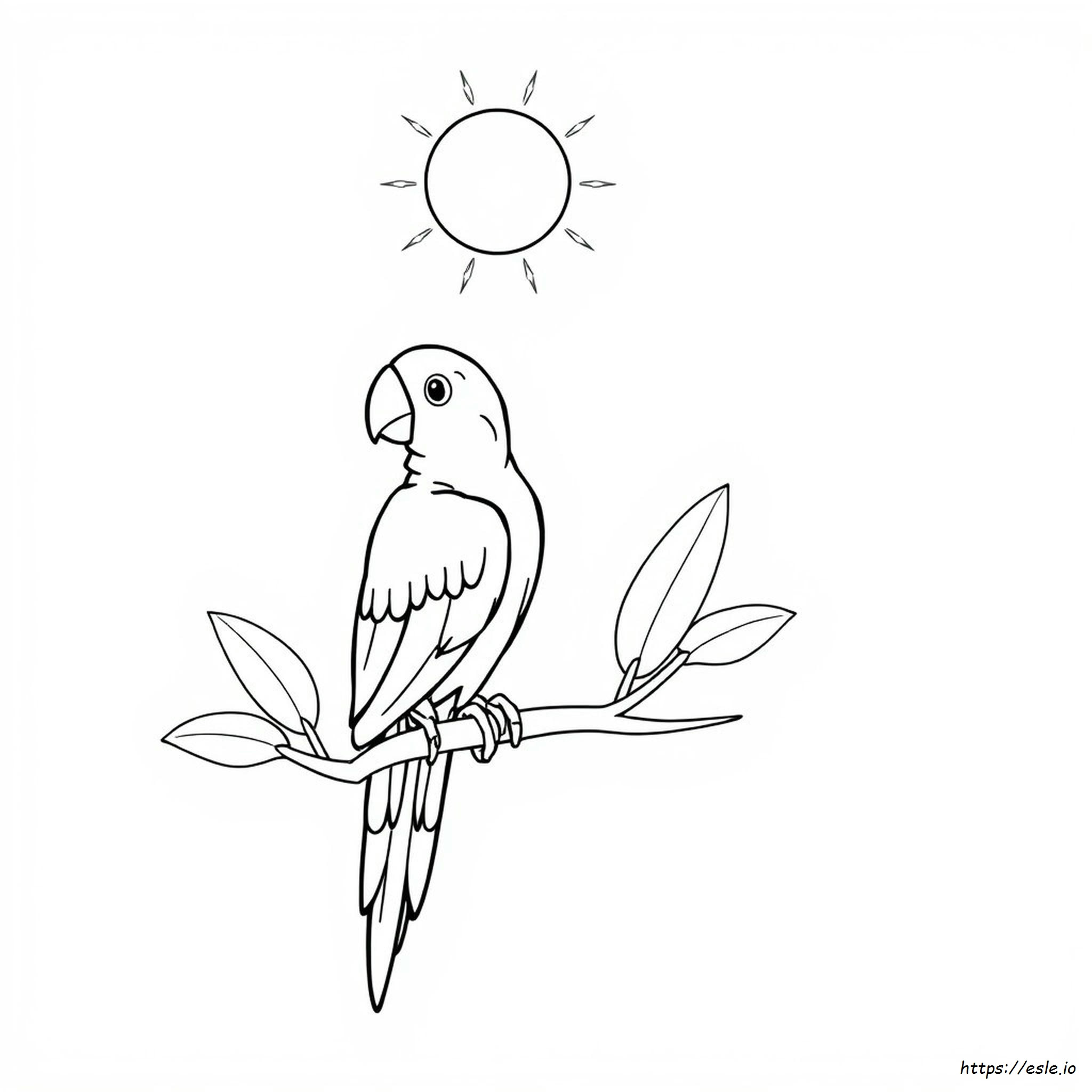Parrot Colouring Worksheet