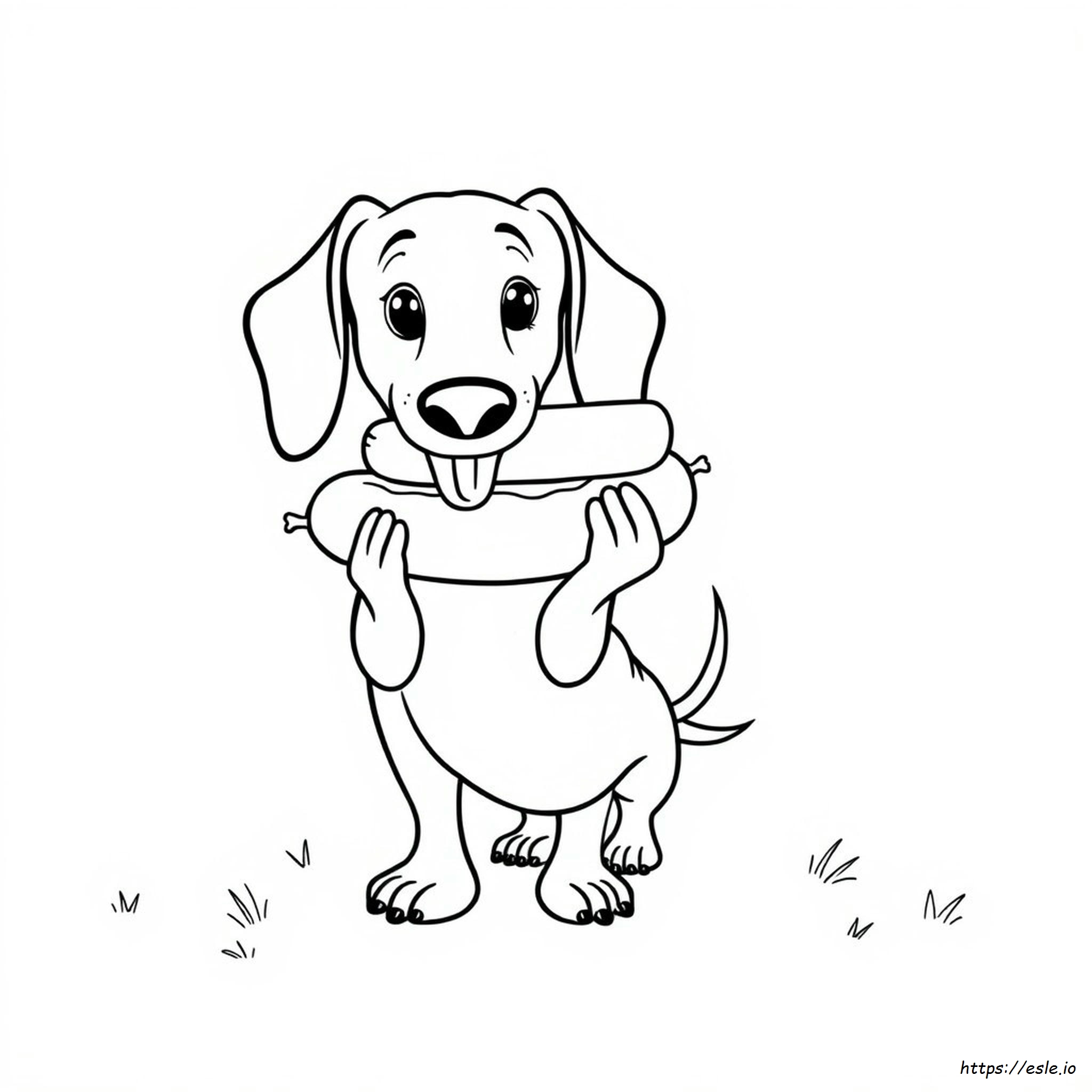 Wiener Dog Dachshund Coloring Pages