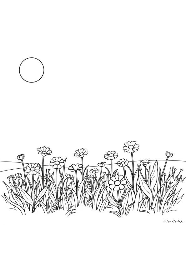Fácil Para Colorir