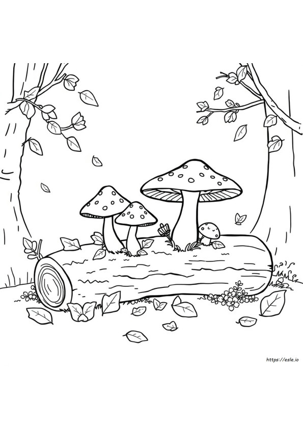 Pilze Ausmalbilder