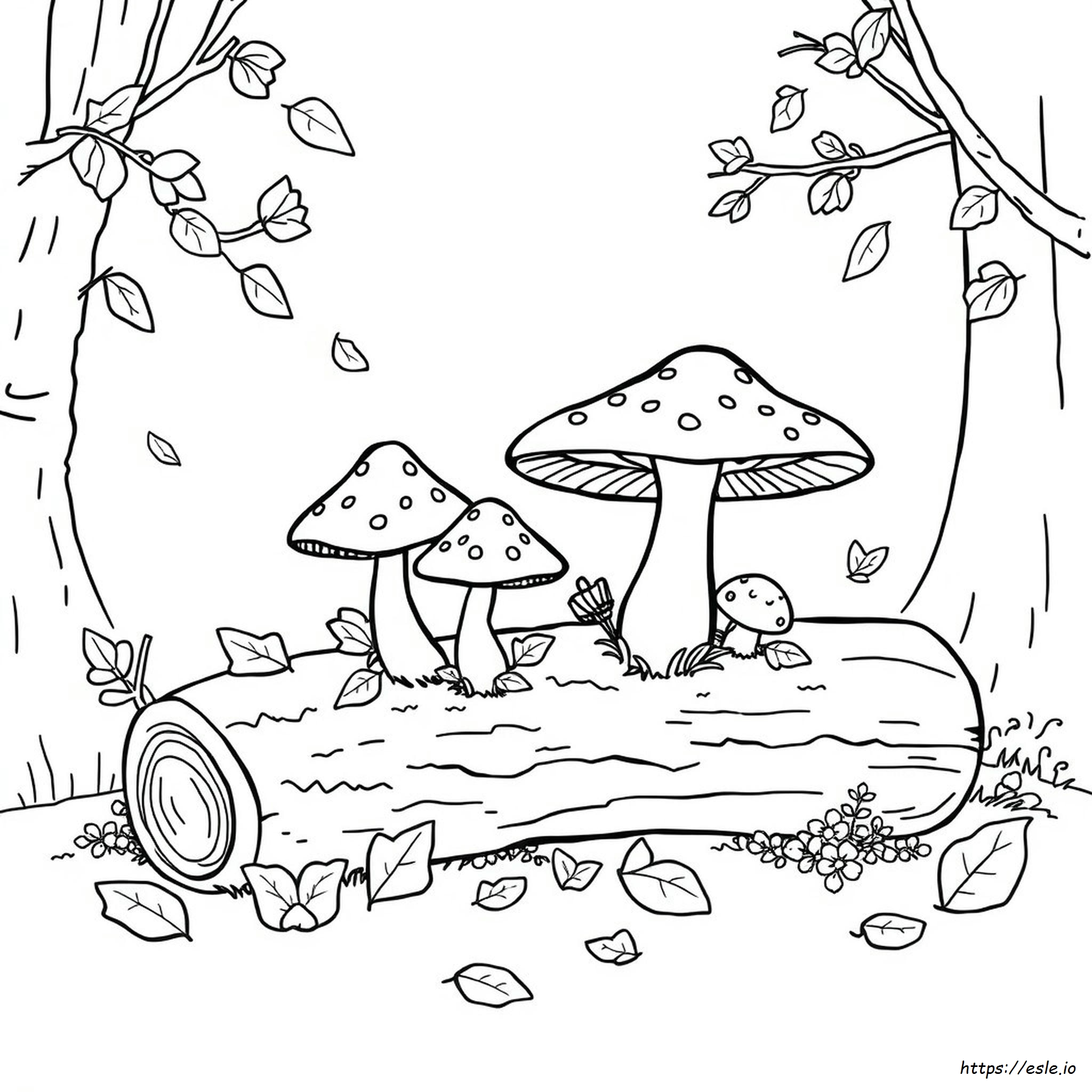 Imagini De Colorat Cu Ciuperci