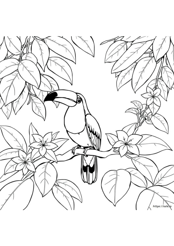 Coloriage Toucan Réaliste