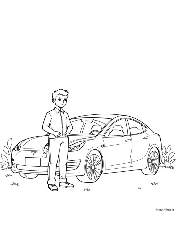 Prețuri Culori Tesla