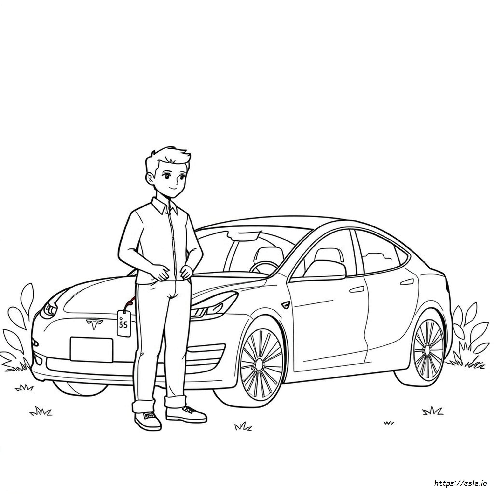 Tesla Color Prices