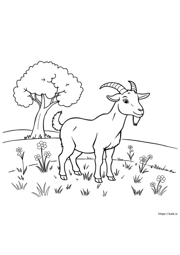Coloring Pages Of A Goat