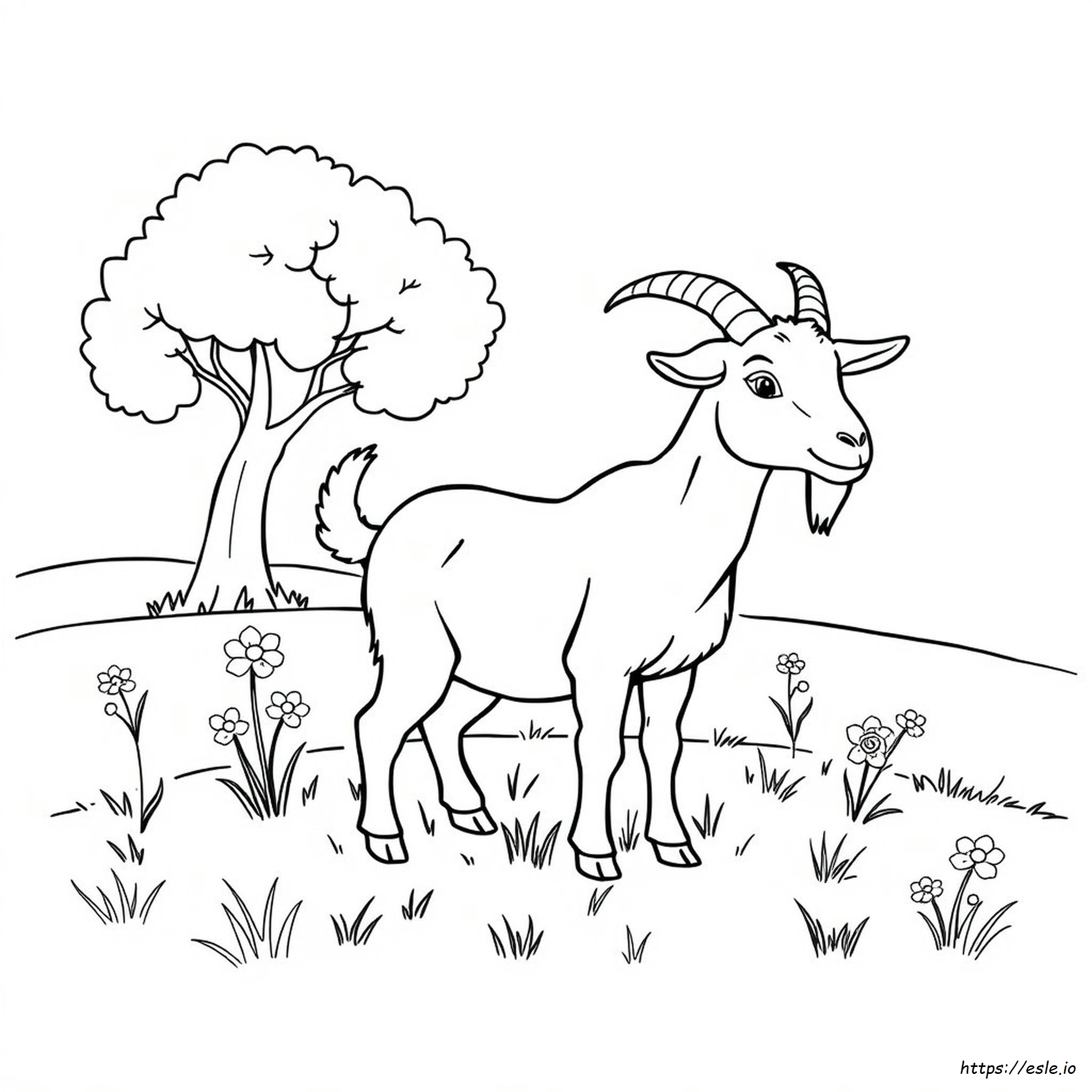 Coloring Pages Of A Goat