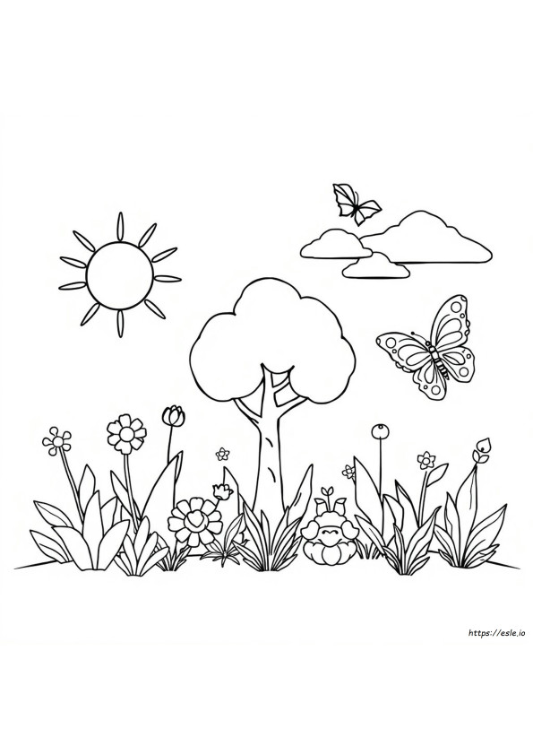 Creation Coloring Pages Booklet