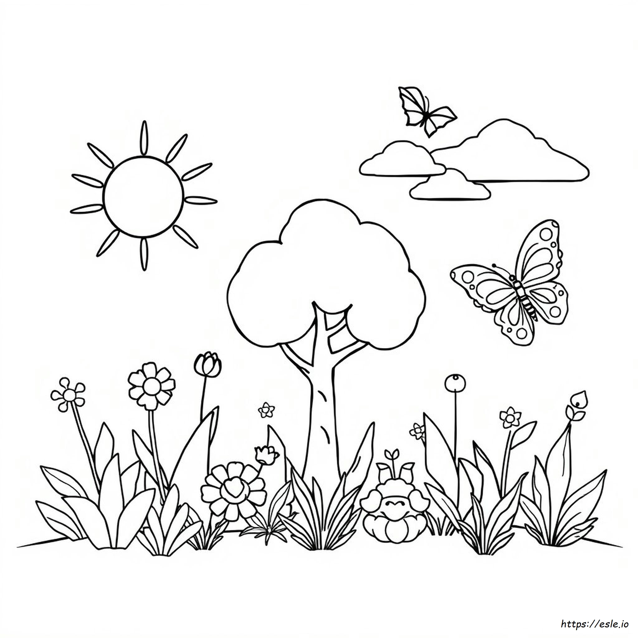 Creation Coloring Pages Booklet