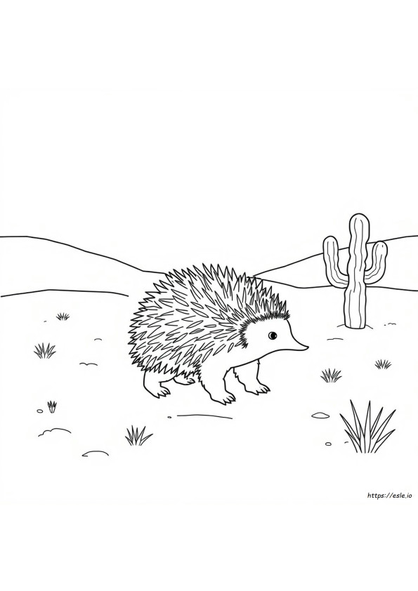 Echidna Da Colorare