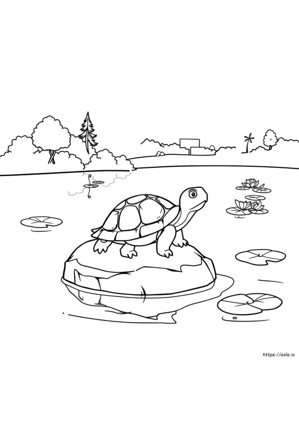 Schildpad Kleurplaten