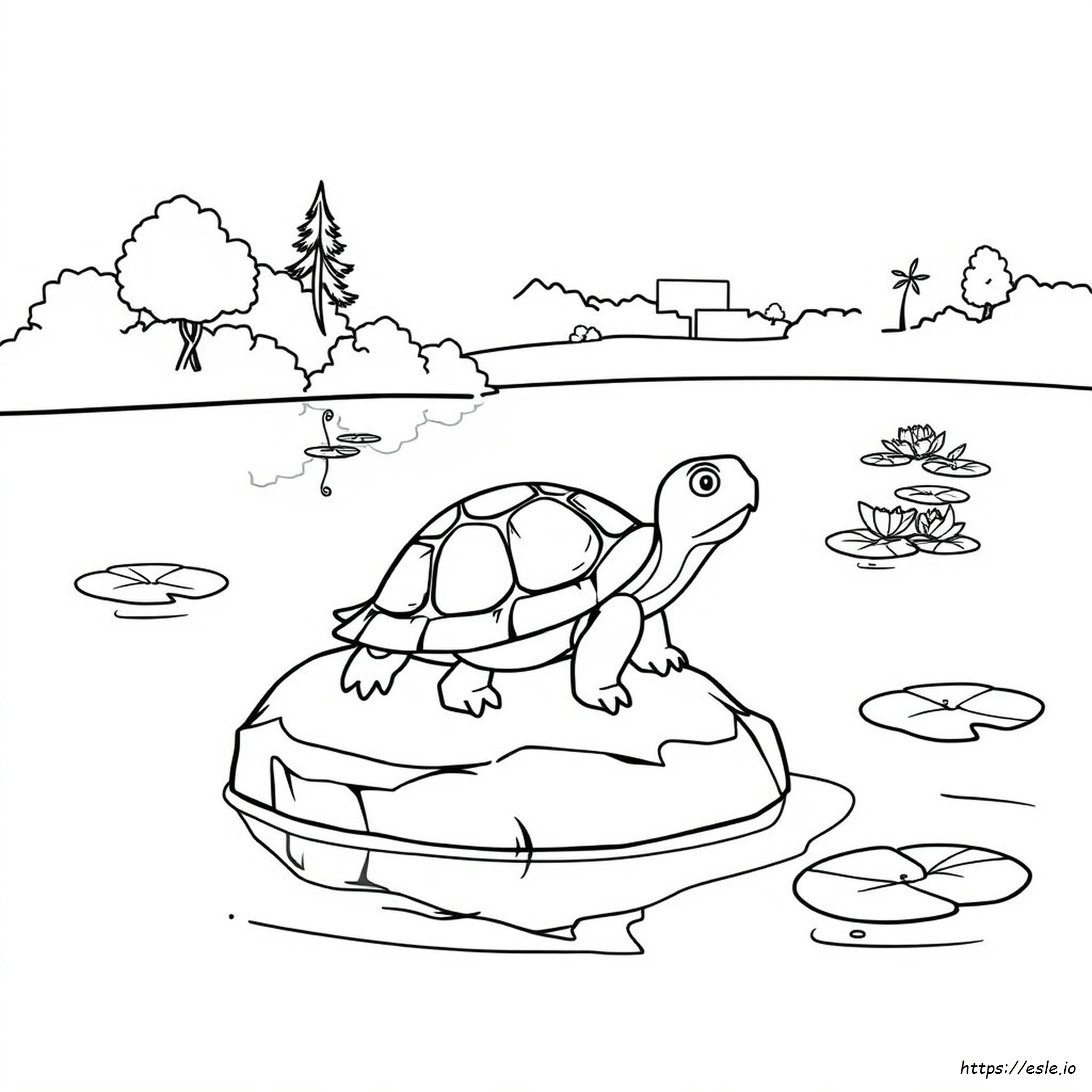 Coloring Pictures Of Turtles