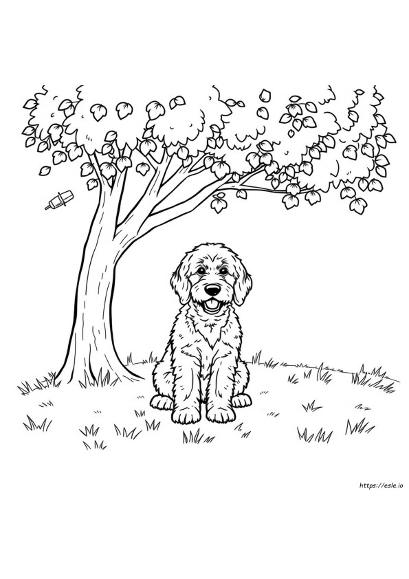 Goldendoodle Coloring Sheet