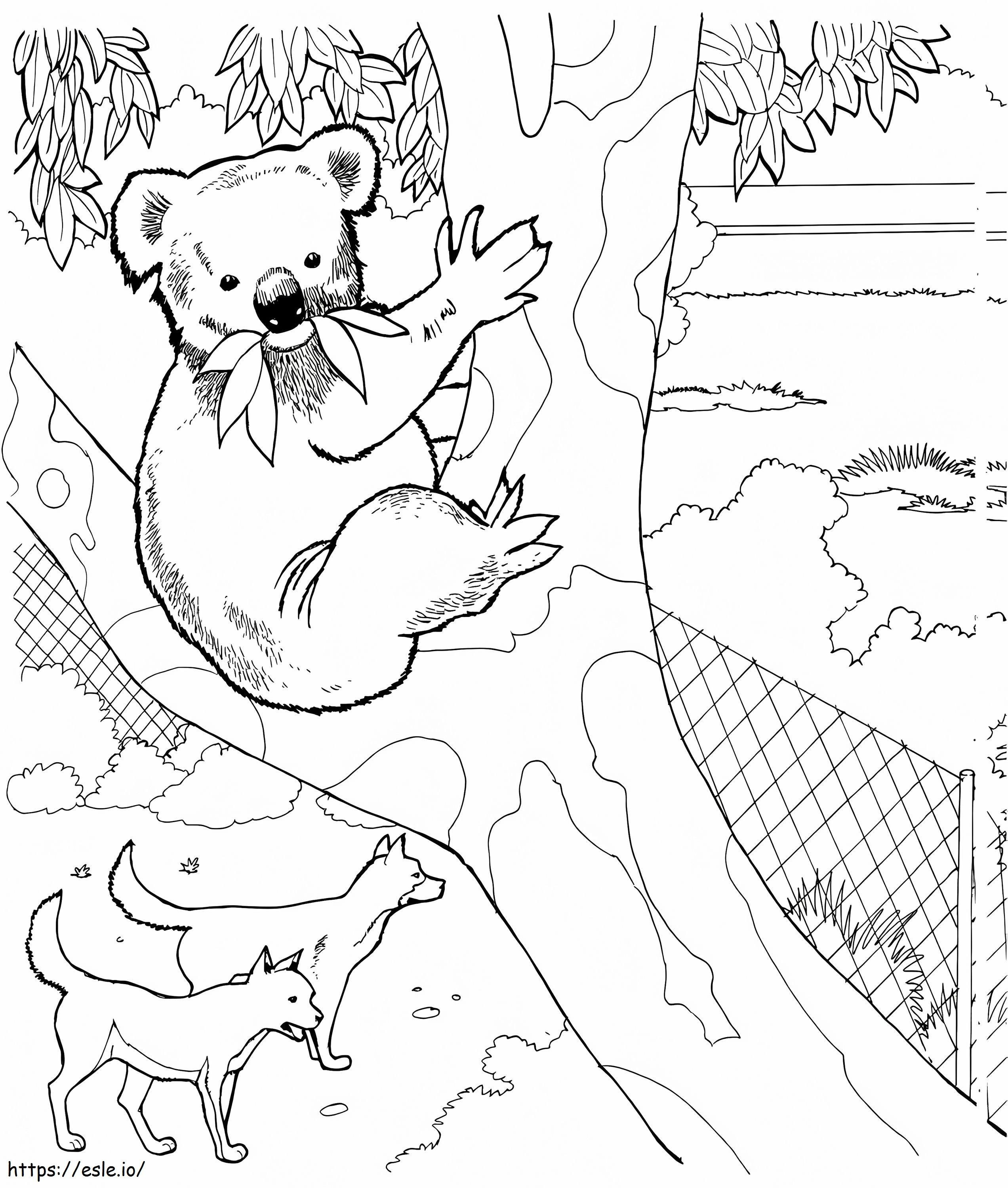 Koala Bear In A Zoo coloring page