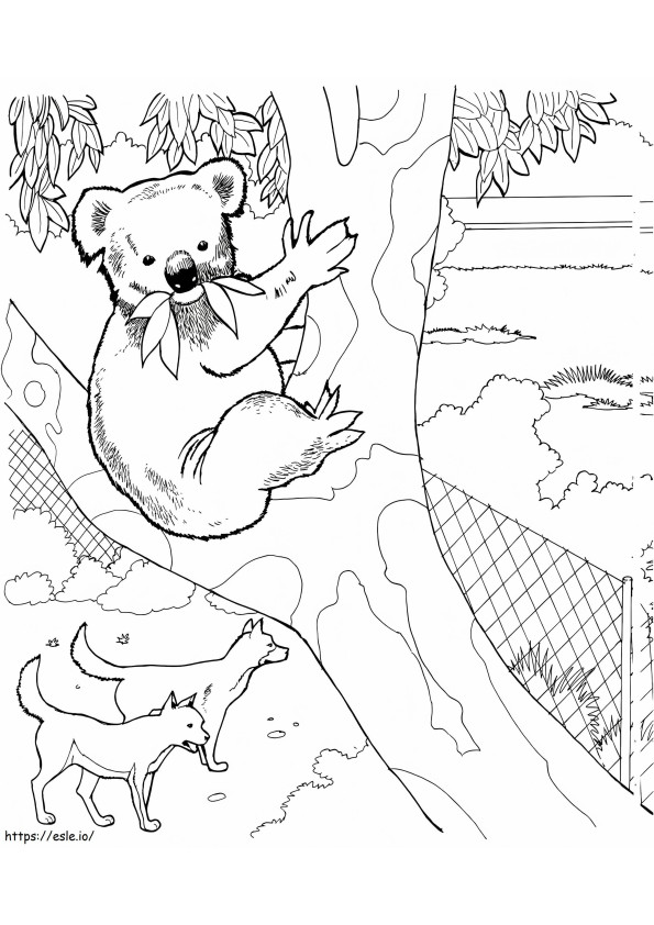 Coloriage  Koala dans un zoo à imprimer dessin