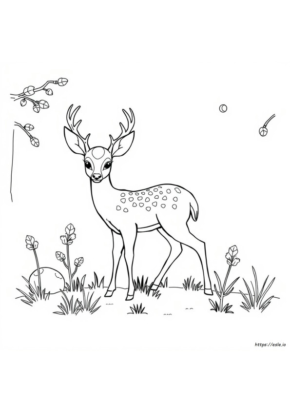 Fawn Rengi Nedir