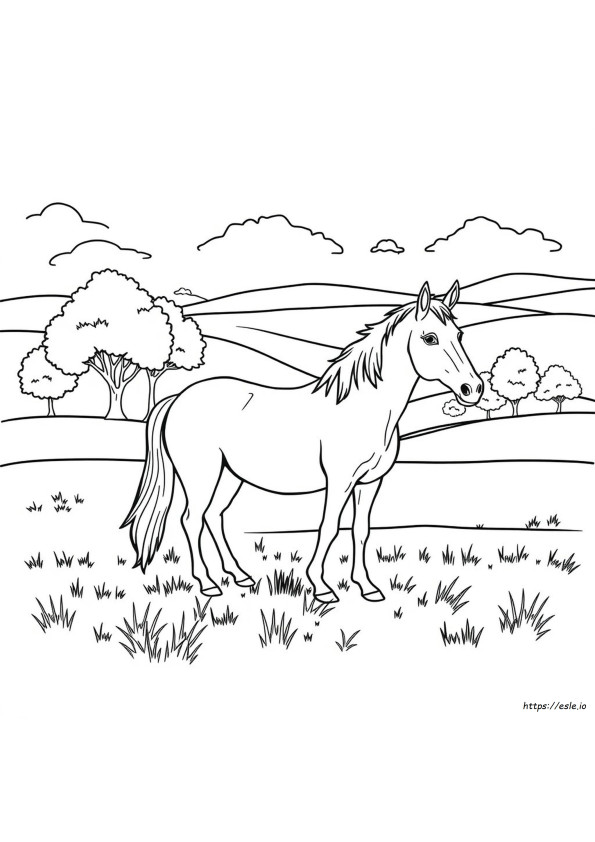 Realistic Horse Coloring Pages