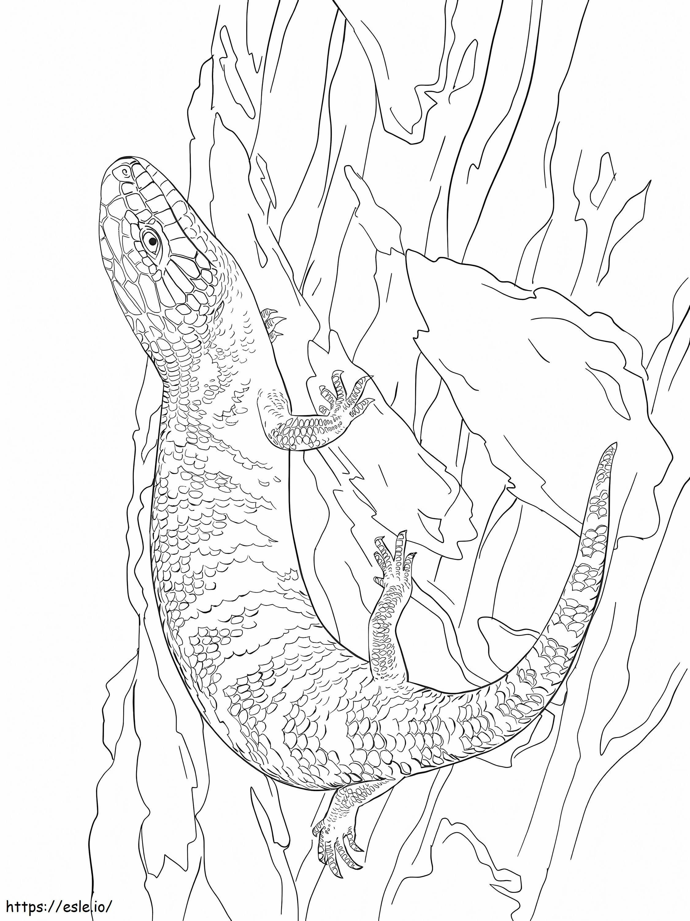 Eastern Blue Tongue Shink A4 coloring page