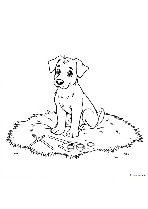 Köpek Boyama