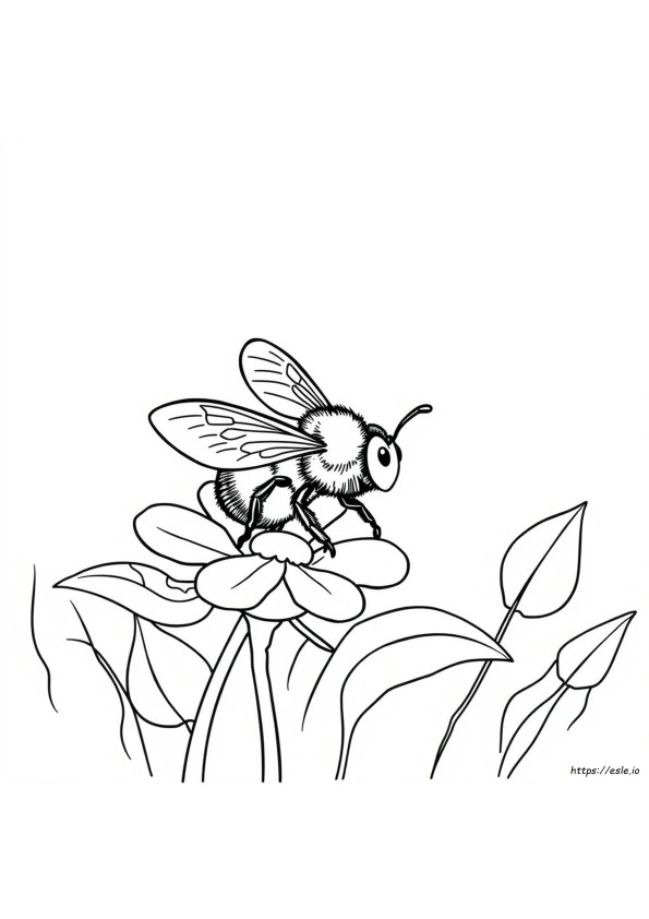 Abeja Bumbum Para Colorear