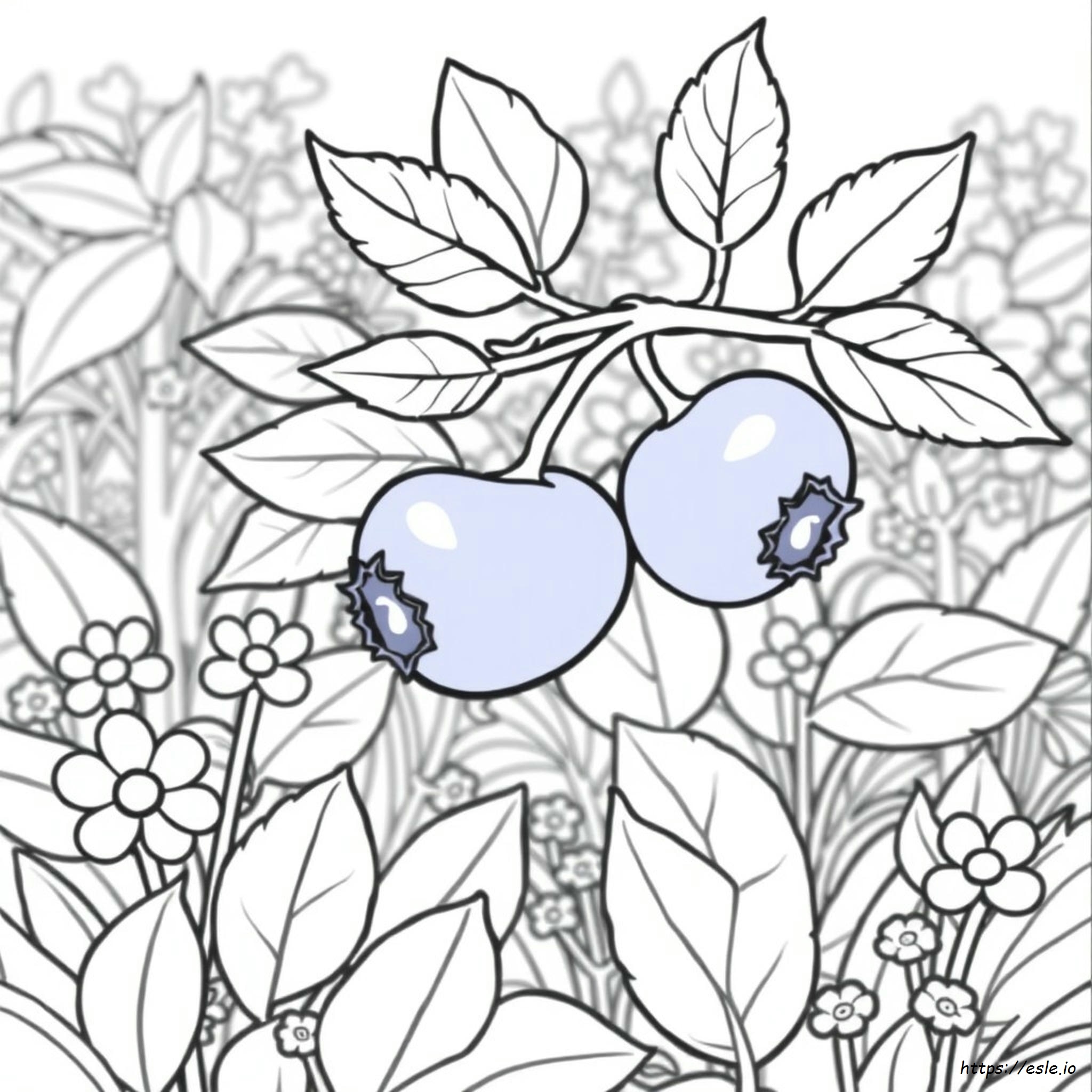 Blueberry Coloring Page Free