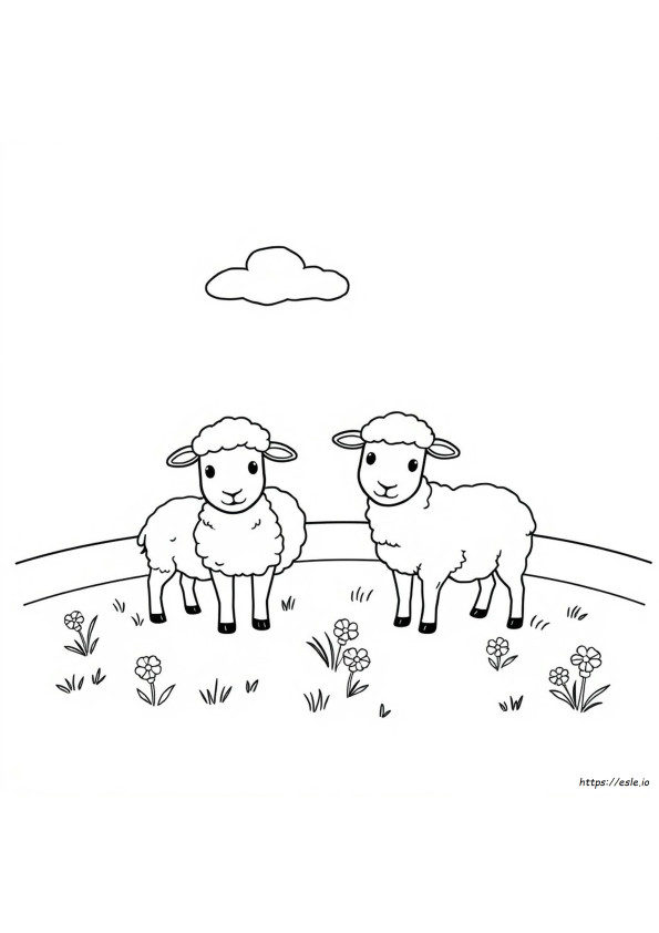 Sheep Coloring Page