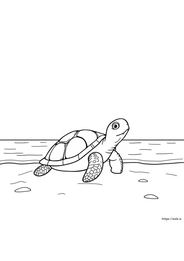 Desenhos De Baías Para Colorir