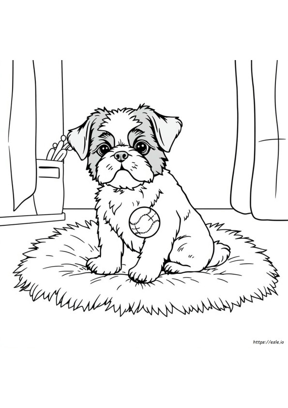 Shih Tzu Dog Coloring Page