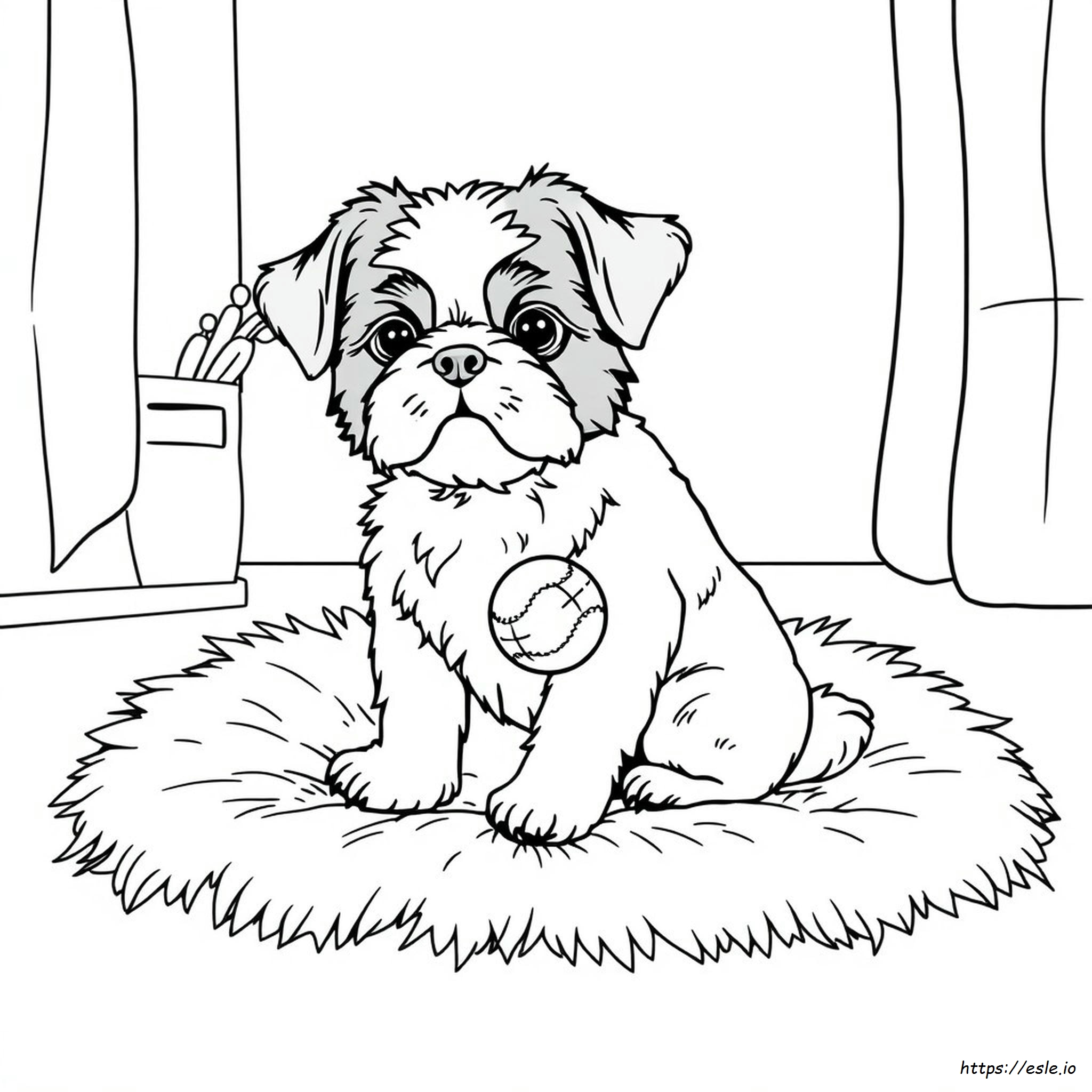 Shih Tzu Dog Coloring Page