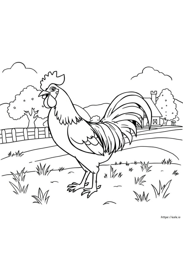 Dibujos De Gallos Para Colorear