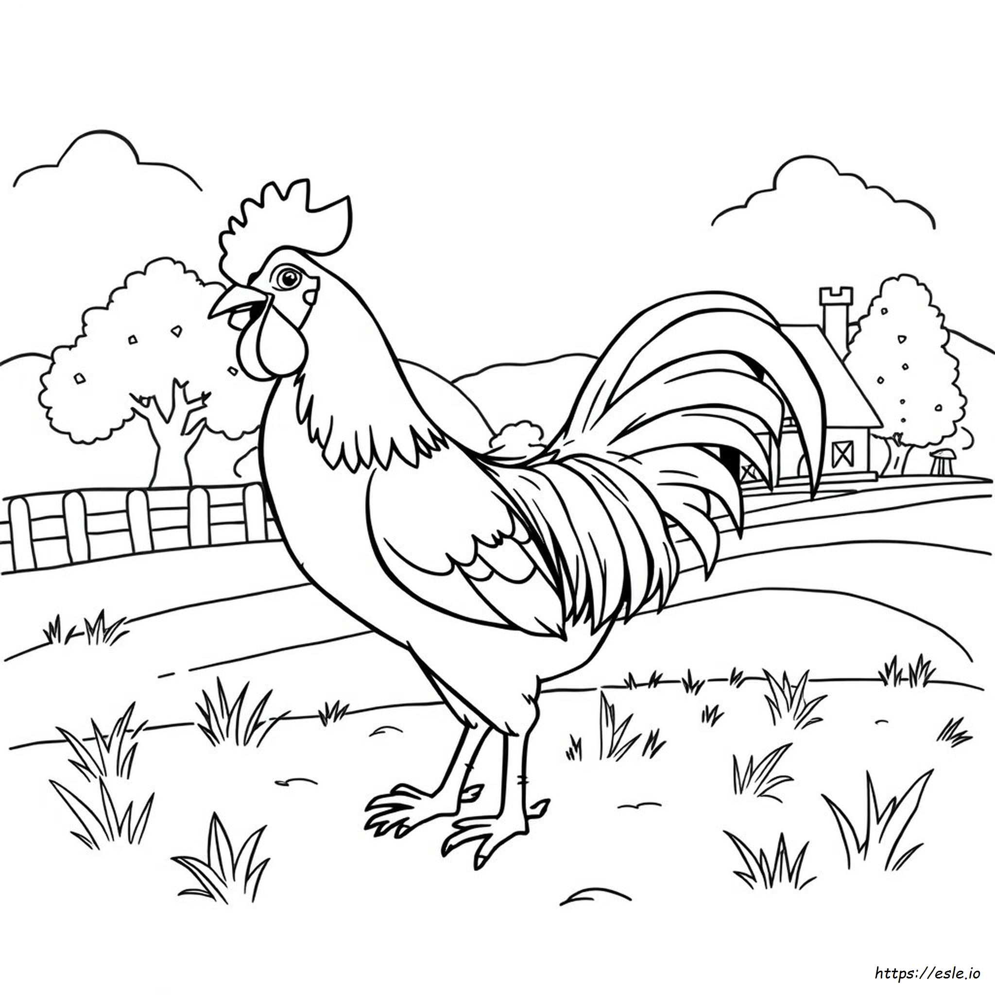 Rooster Coloring Pictures