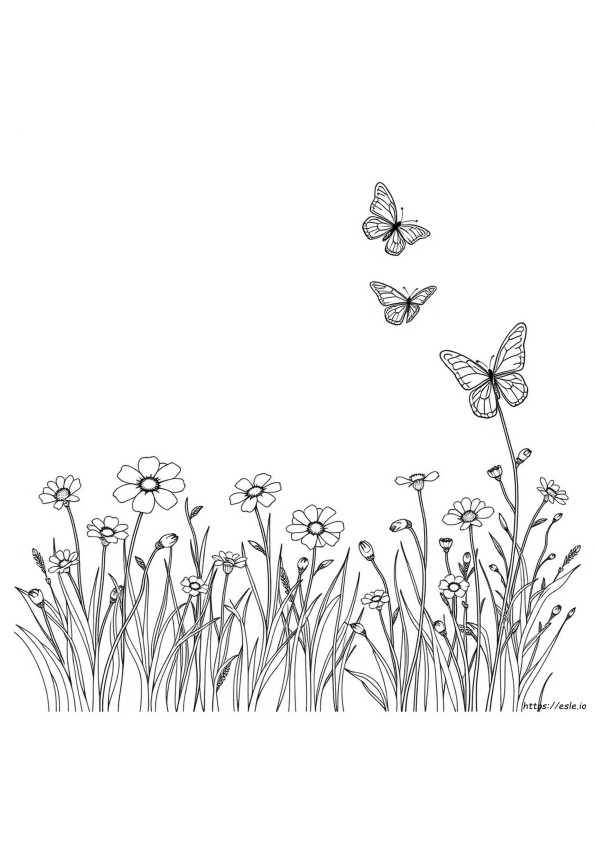 Livre De Coloriage Johanna Bradford