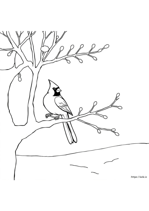 Cardinal Bird Coloring Page Printable