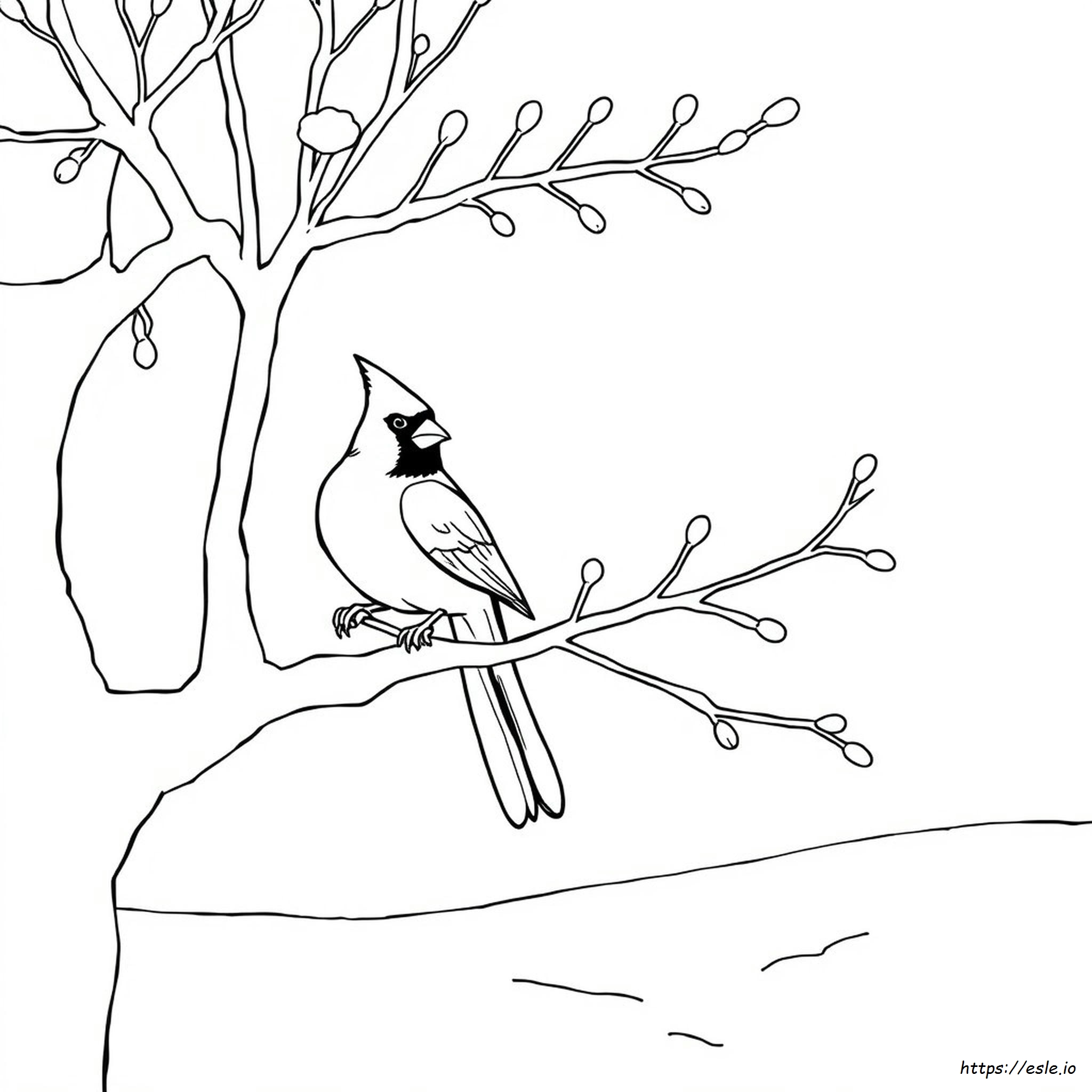 Cardinal Bird Coloring Page Printable