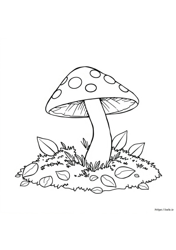 Toadstool Colouring Pages