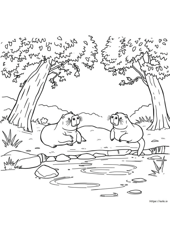 Coloriages De Capybara