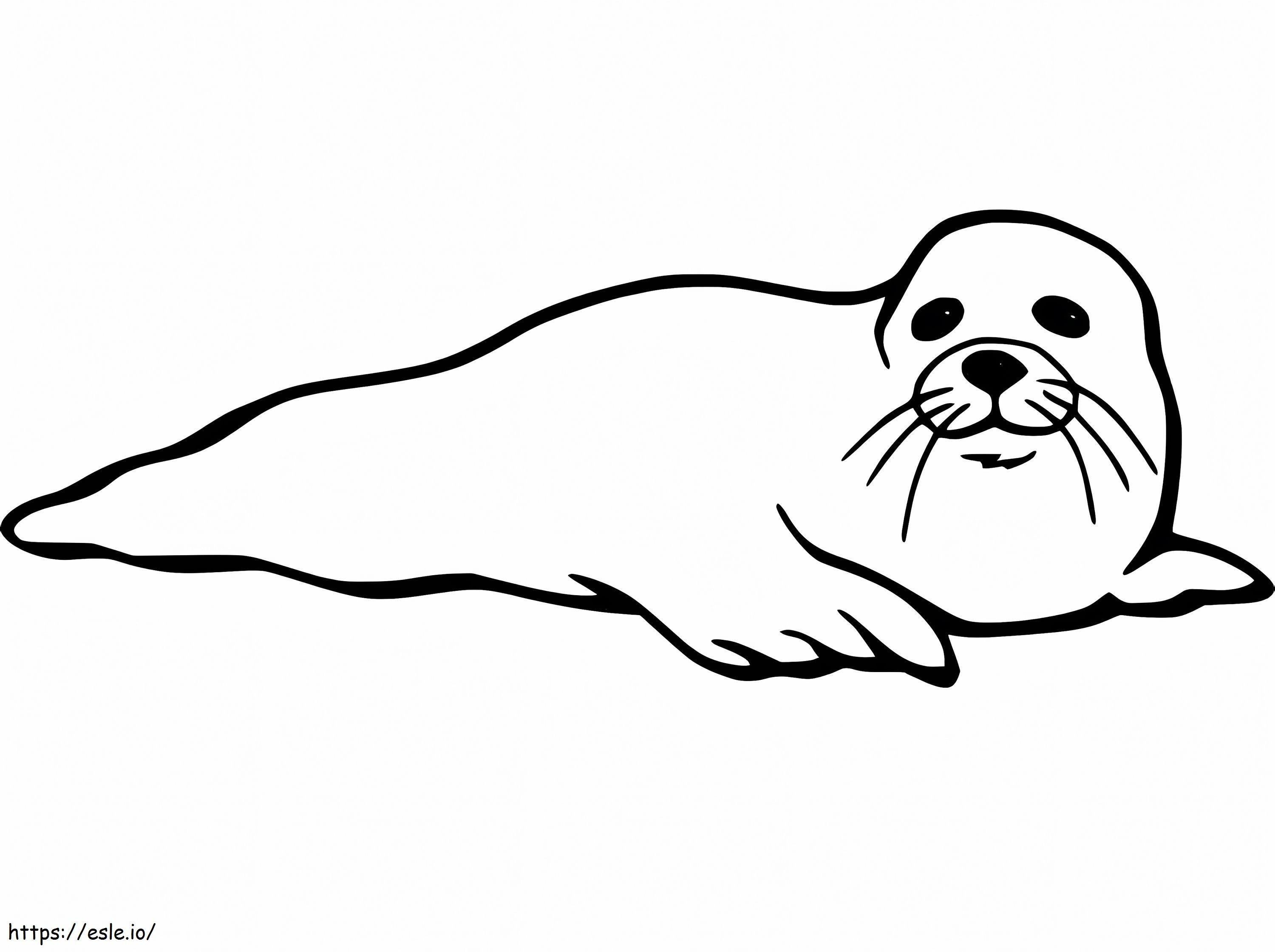 Easy Seal coloring page