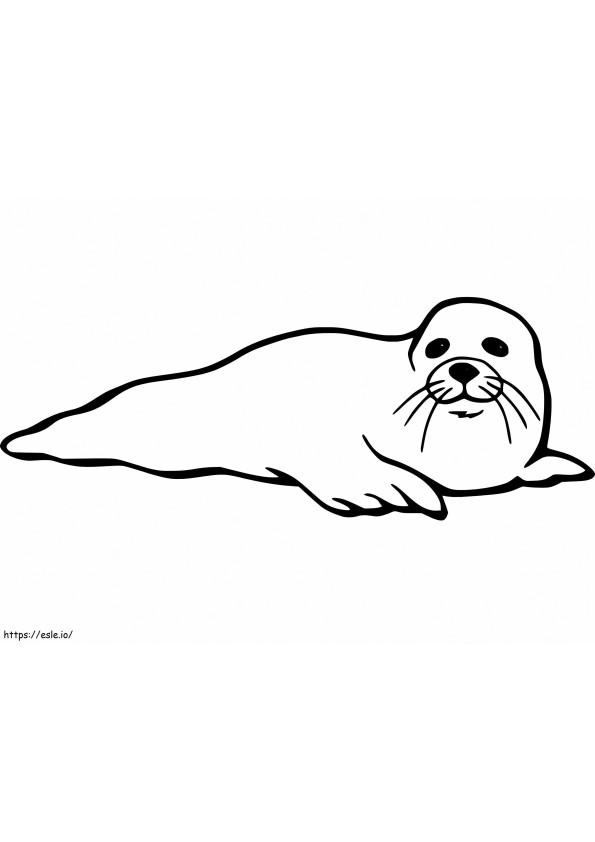 Easy Seal coloring page