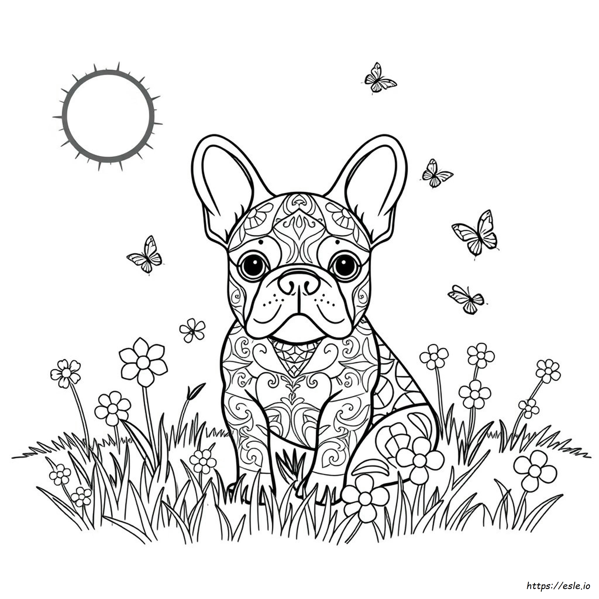 Mandala French Bulldog Coloring Pages