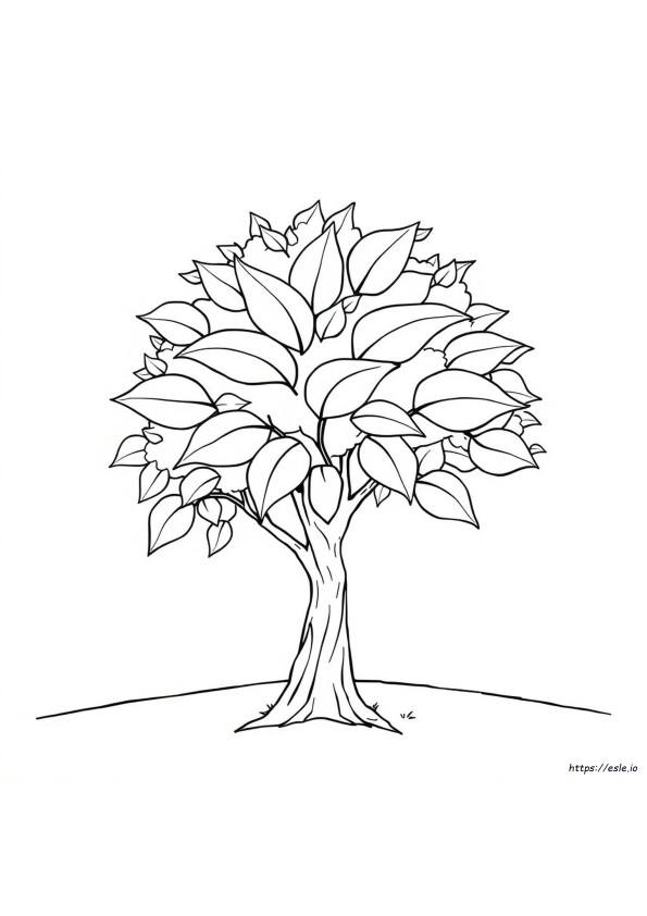 Tree Leaf Coloring Pages