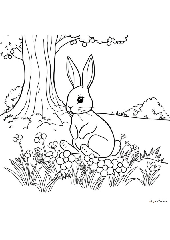 Colouring Pages For Rabbit