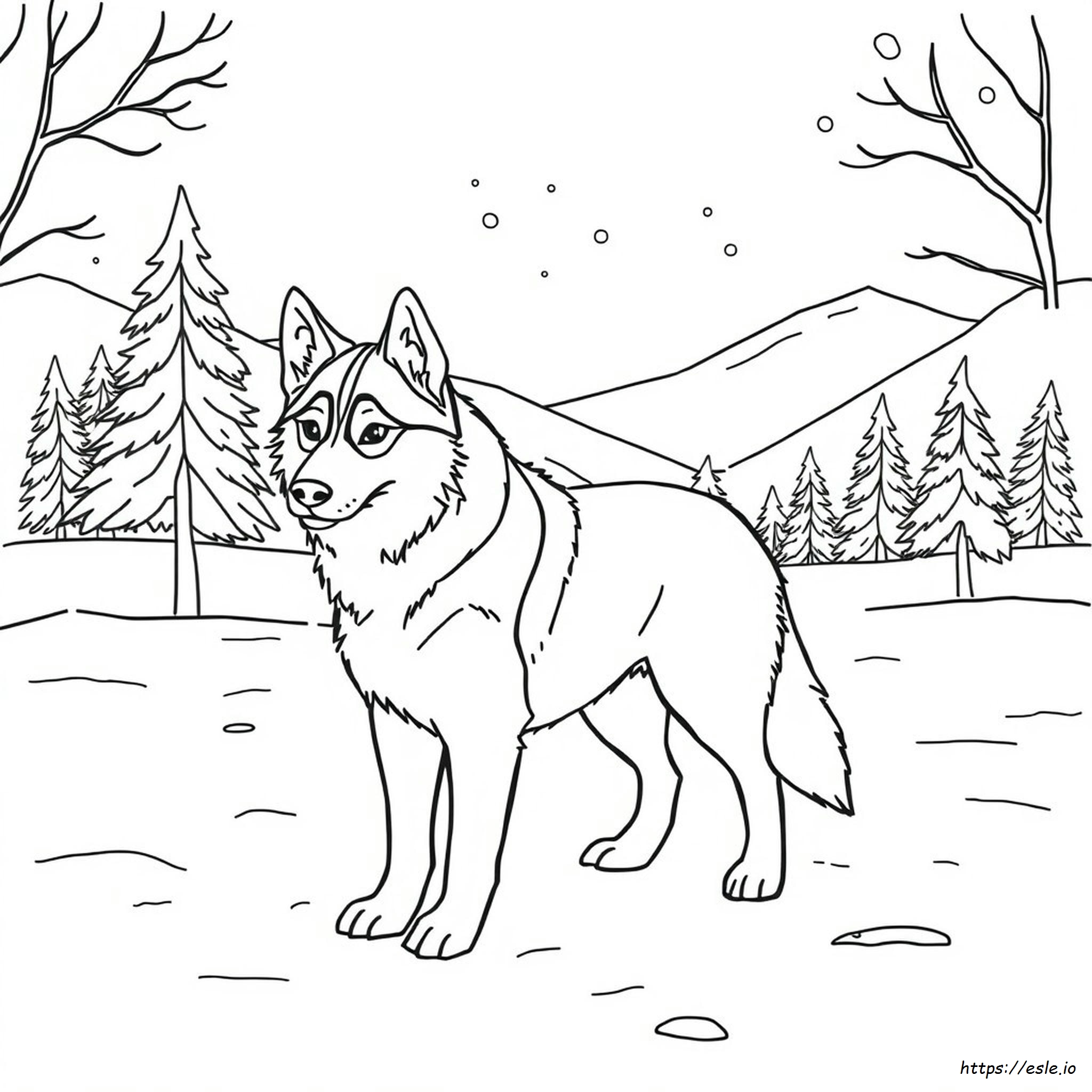 Realistic Husky Coloring Pages
