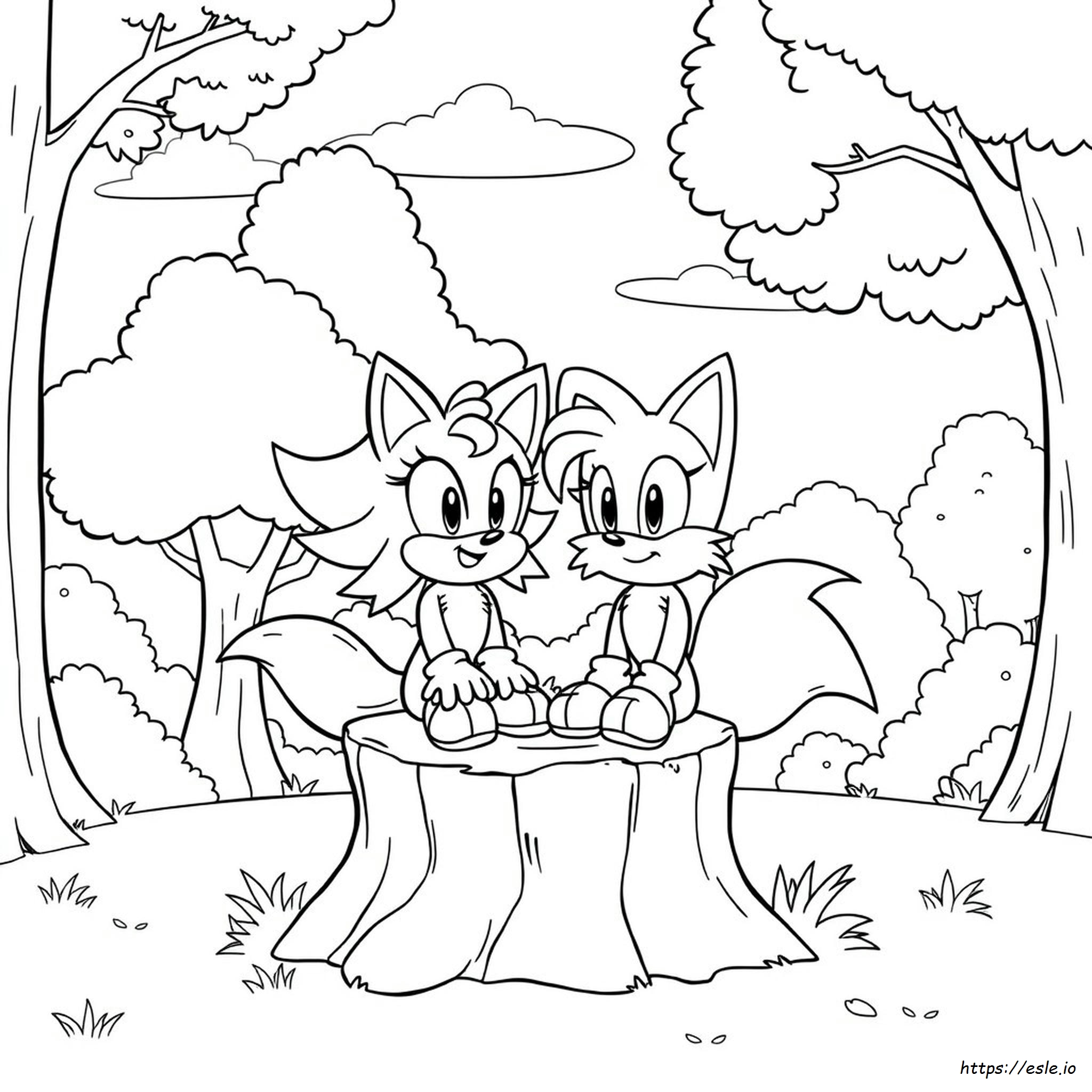 Sonic Freunde Ausmalbilder