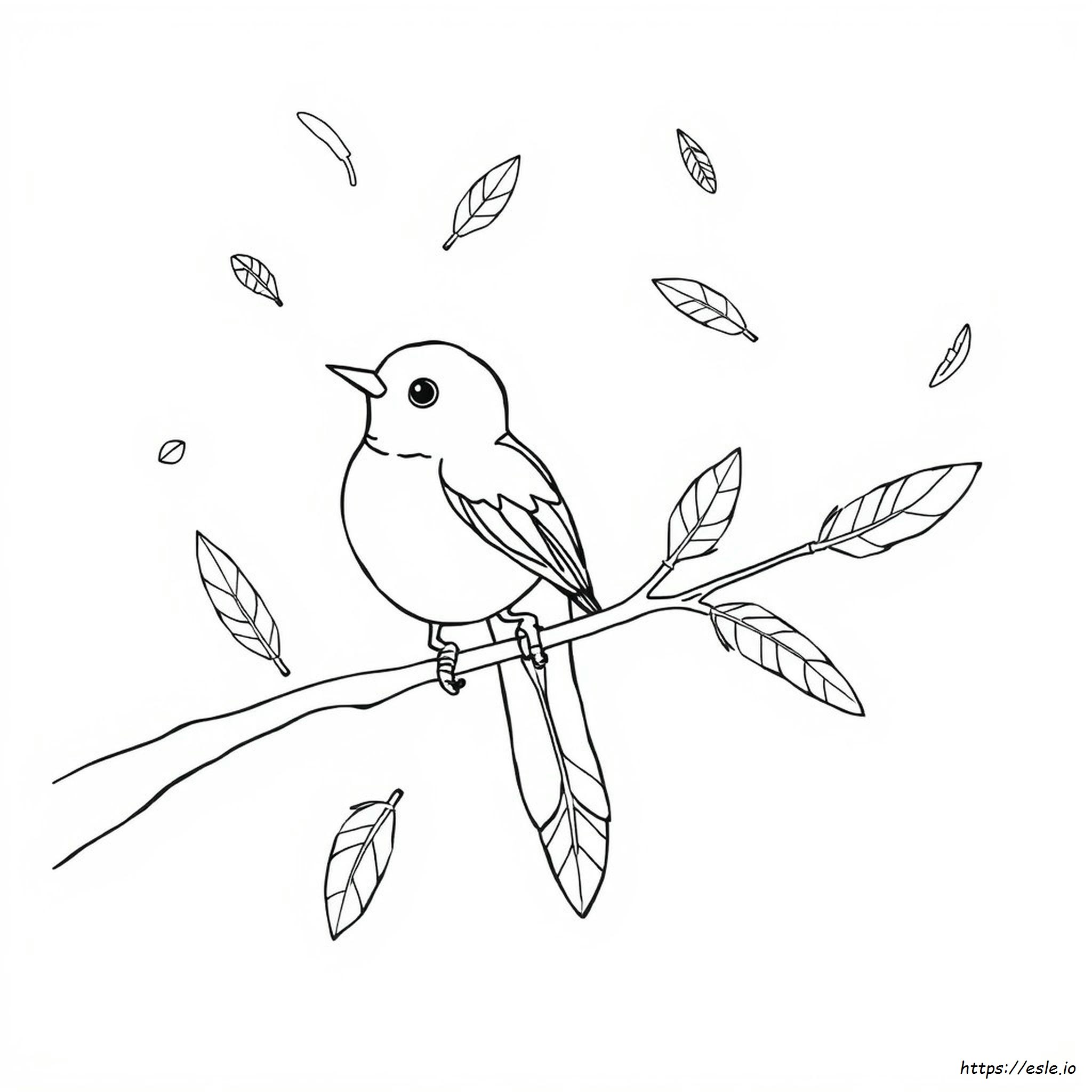 Bird Feather Coloring Pages